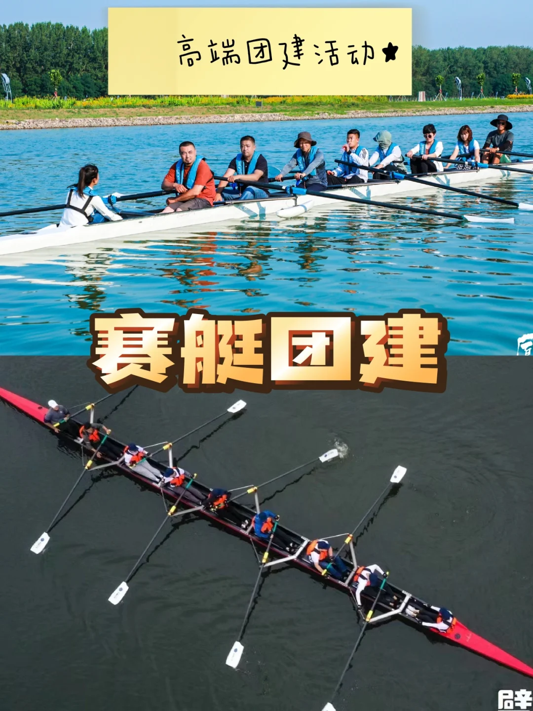 赛艇比赛中的划桨好手，悍勇无畏